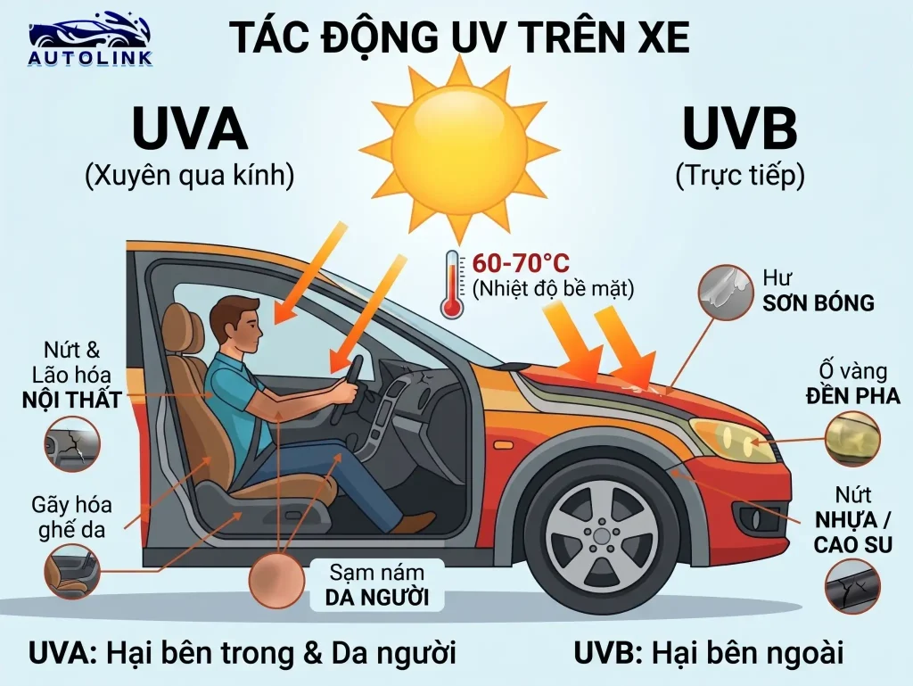 Tác động của tia UV đối với ô tô
