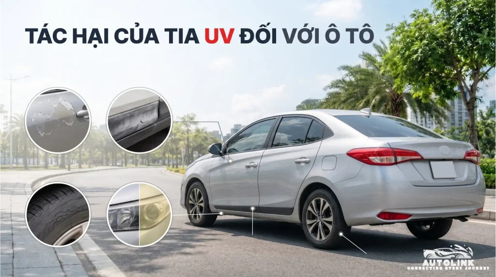 Tác hại của tia UV đối với ô tô