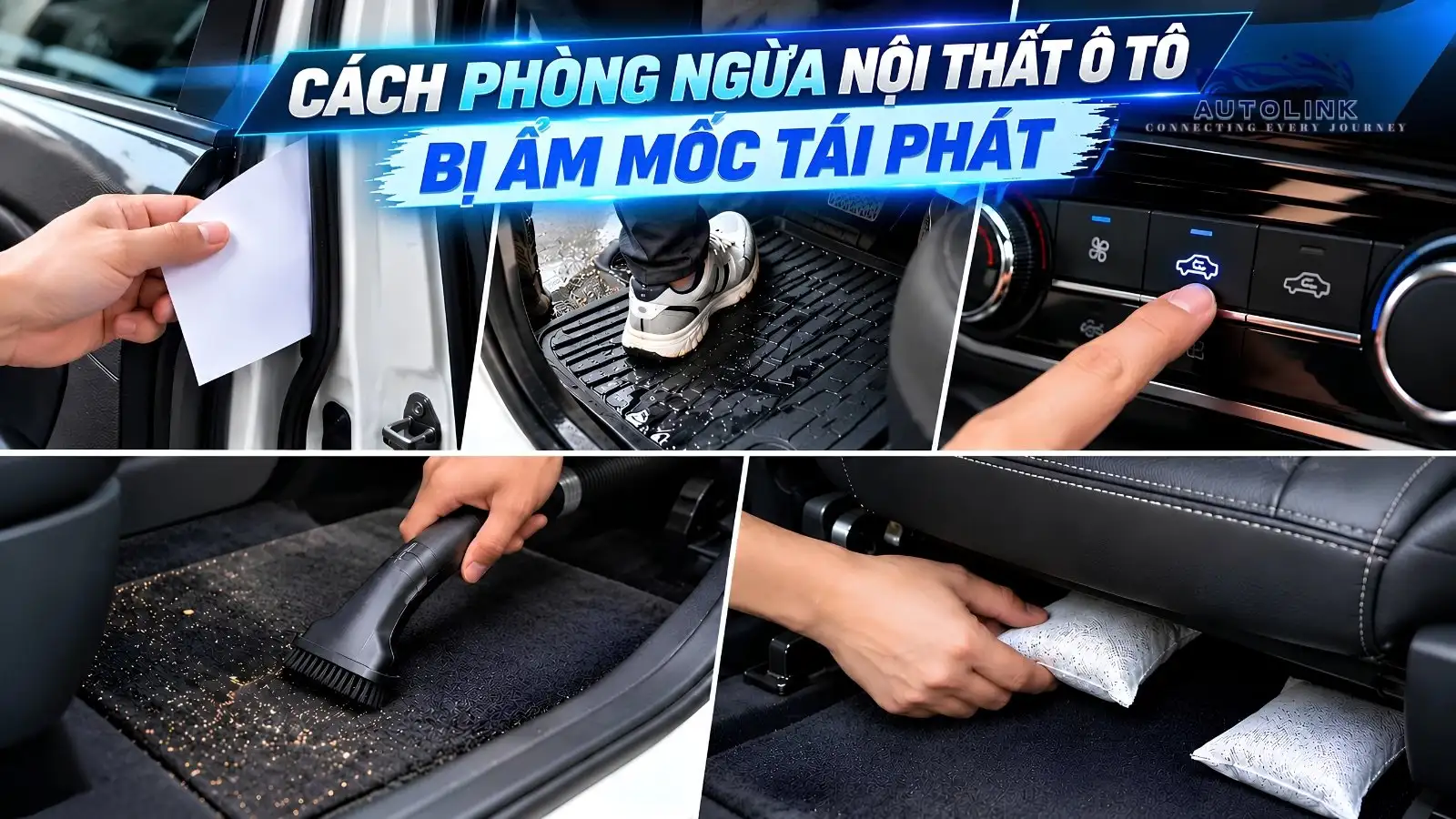 Cách phòng ẩm mốc trong nội thất Cách phòng ẩm mốc trong nội thất