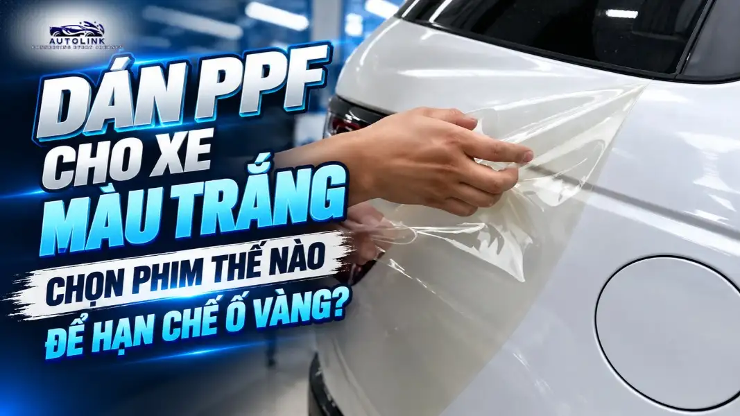 Dán PPF Cho Xe Màu Trắng Chọn Phim Thế Nào Để Hạn Chế Ố Vàng Dán PPF Cho Xe Màu Trắng Chọn Phim Thế Nào Để Hạn Chế Ố Vàng