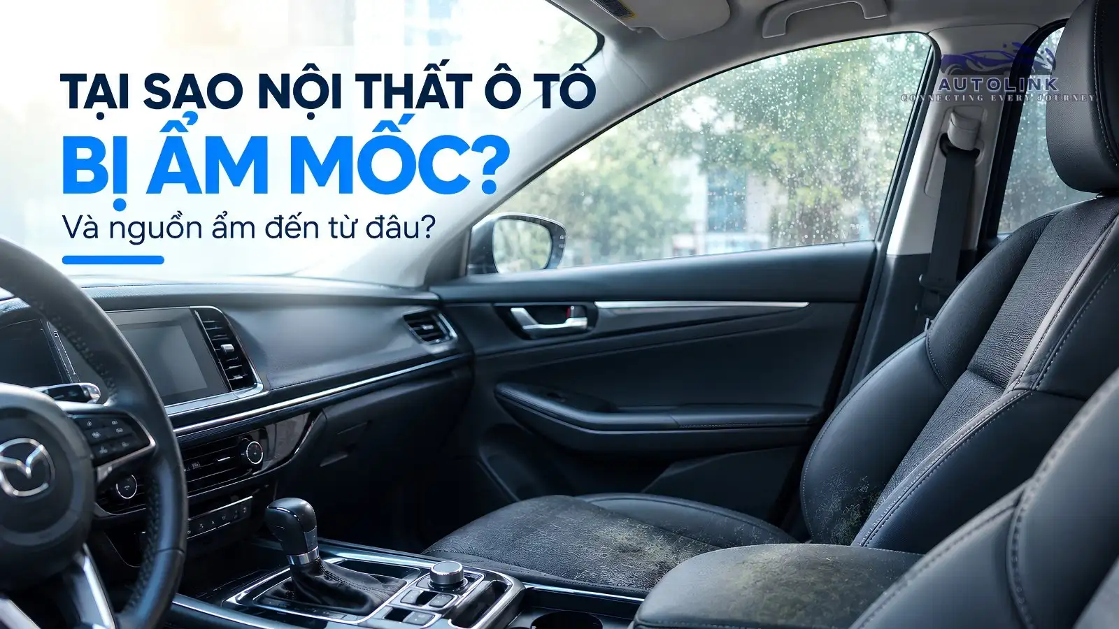 Tại sao ô tô lại bị ẩm mốc Tại sao ô tô lại bị ẩm mốc